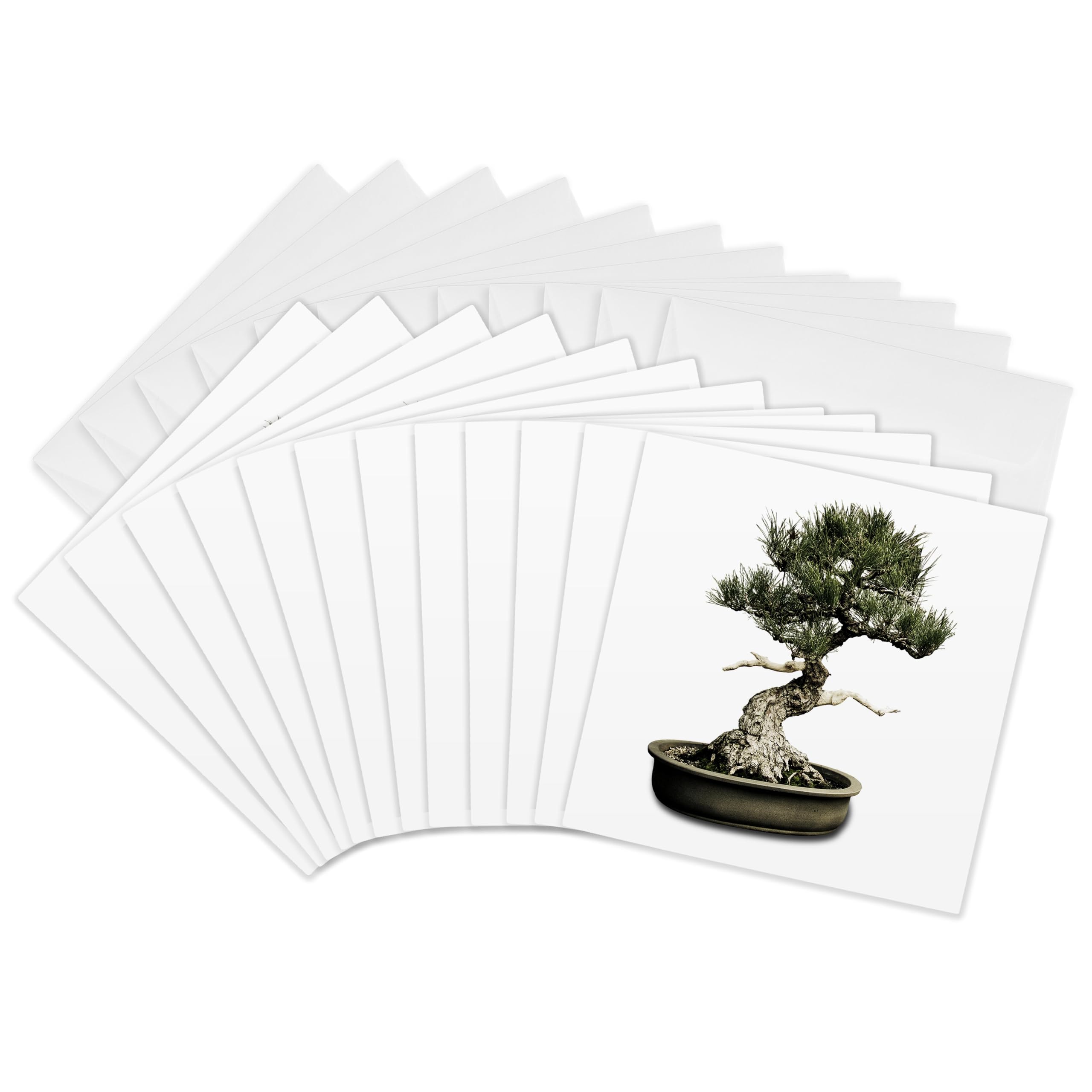 3dRose gc_12649_2 6 x 6-Inch "Bonsai" Greeting Card (Pack of 12)