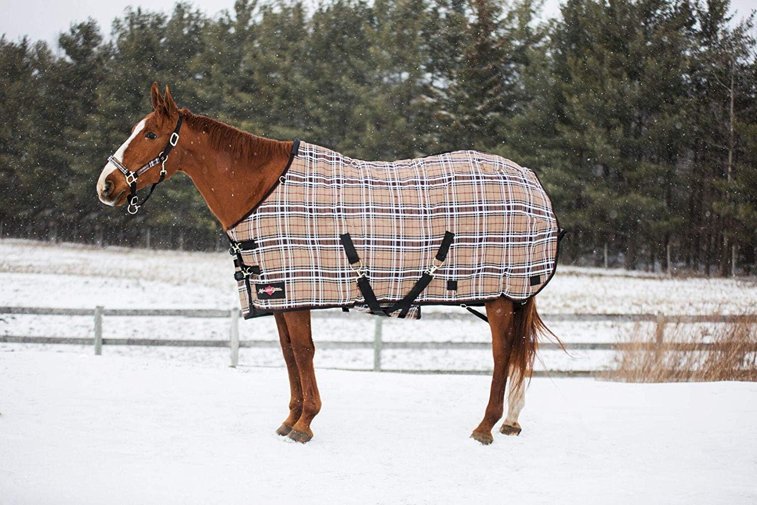 80g SuperMesh Horse Turnout Blanket by Kensington