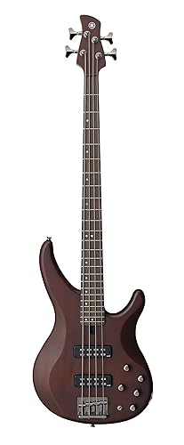 Best Electric Bass Guitars