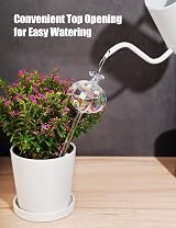 NiHome Iridescent Glass Cactus Self Watering Globes 2-Pack 4.7OZ 140 ML view 2