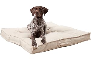 South Pine Porch Mila Square Tufted Pillow Style Dog Bed, Cream, Large (40" x 40")