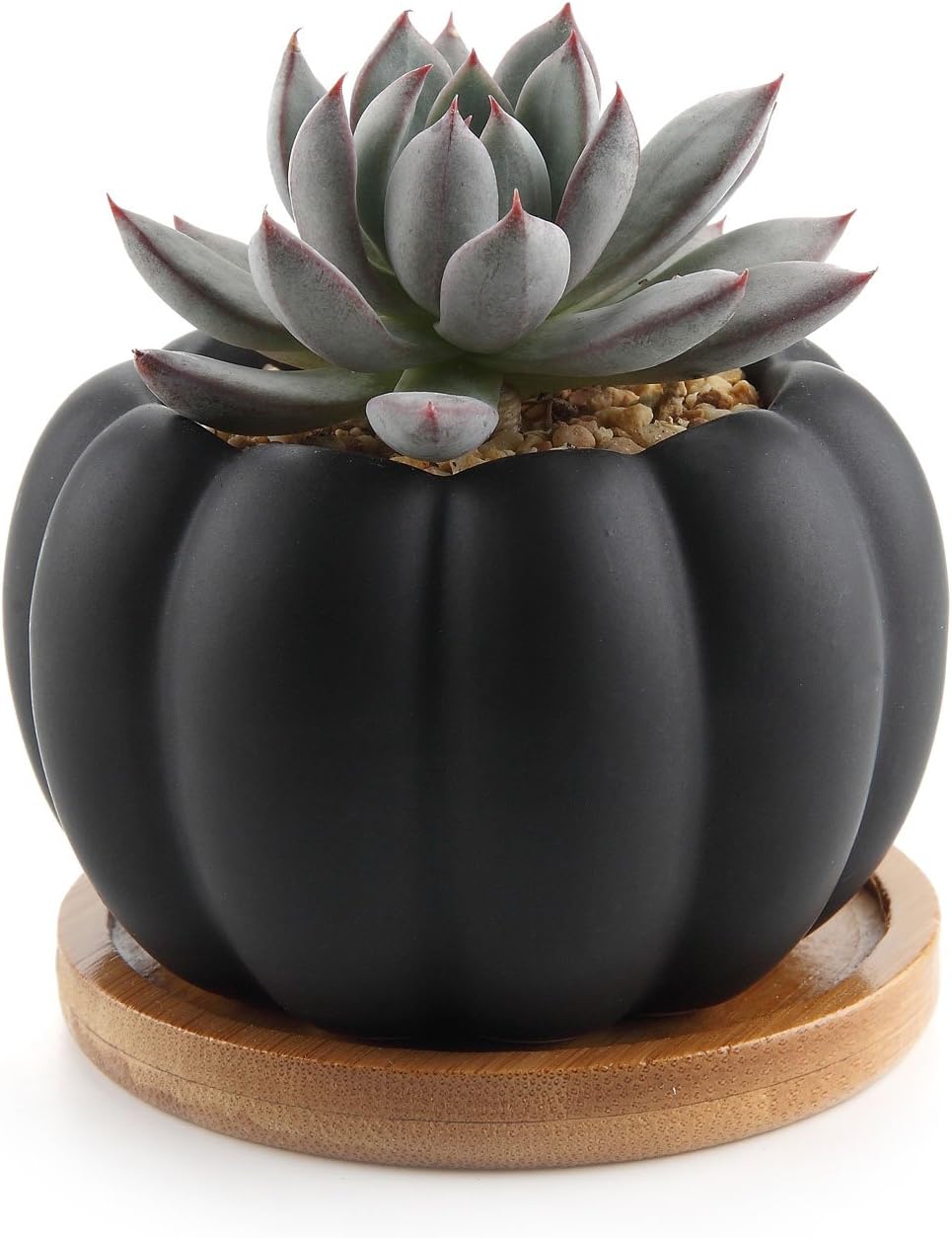 ComSaf 8.5CM Ceramic Succulent Plant Pot with Bamboo Tray - Matte Black, Small Cactus Herb Planter Window Box Container for Home Office Tabletop Balcony Decoration Wedding Birthday
