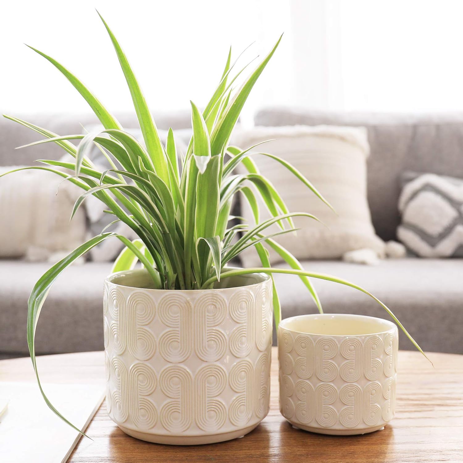 LA JOLIE MUSE Ceramic Planter Set of 2 - 6.6 Inch Greece Style Embossed Flower Pot with Drain Hole for Indoor, with Classic Scrolls Pattern, Ivory : Garden & Outdoor