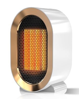 QQT Space heater,Corded Portable PTC Ceramic Space Heater for Indoor Use,Quiet Desk Heater for Office,Energy-Saving Bathroom Heater,Tipping and Overheating Protection,Dumping Shutdown,White