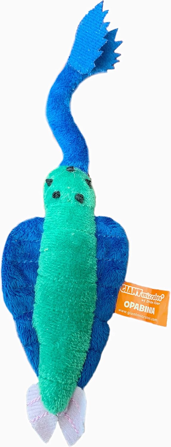 giant microbes amazon