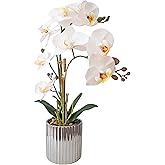 NMAIYA Orchids Artificial Flowers Fake White Orchid Plant Realistic Faux Potted Phalaenopsis Plants in Silver Ceramic Vase for Table Arrangement Centerpiece Home Indoor Decor