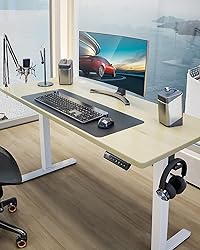 ErGear Height Adjustable Electric Standing Desk, 48