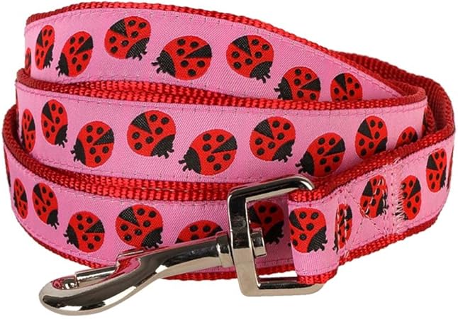 fun dog collars and leashes