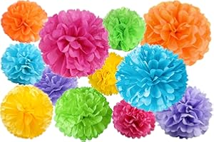 JAYKE JOY 12 Pcs Paper Pom Poms Kit, Tissue Paper Flowers for Birthday, Party, Fiesta, Classroom, Playroom Festive Decorations (Multicolor, Assorted Sizes)