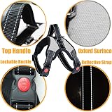 Musonic No Pull Dog Harness Breathable Adjustable with Free Lead Black view 3