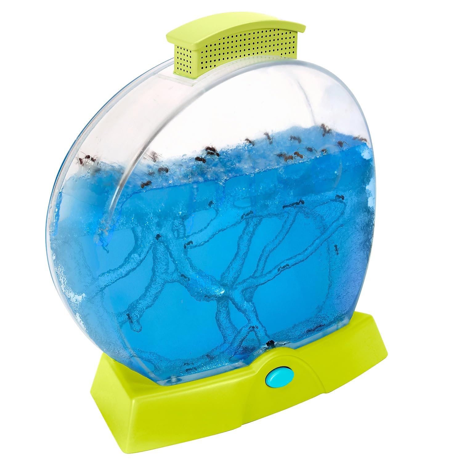 Educational Insights GeoSafari Day 'N' Night Ant Factory - Ant Farm with Live Ants, Kids Science Kit, at Home STEM Bug Kit, Light-Up Habitat for Viewing Ants, Starter Sets and Nature Toys for Ages 7+