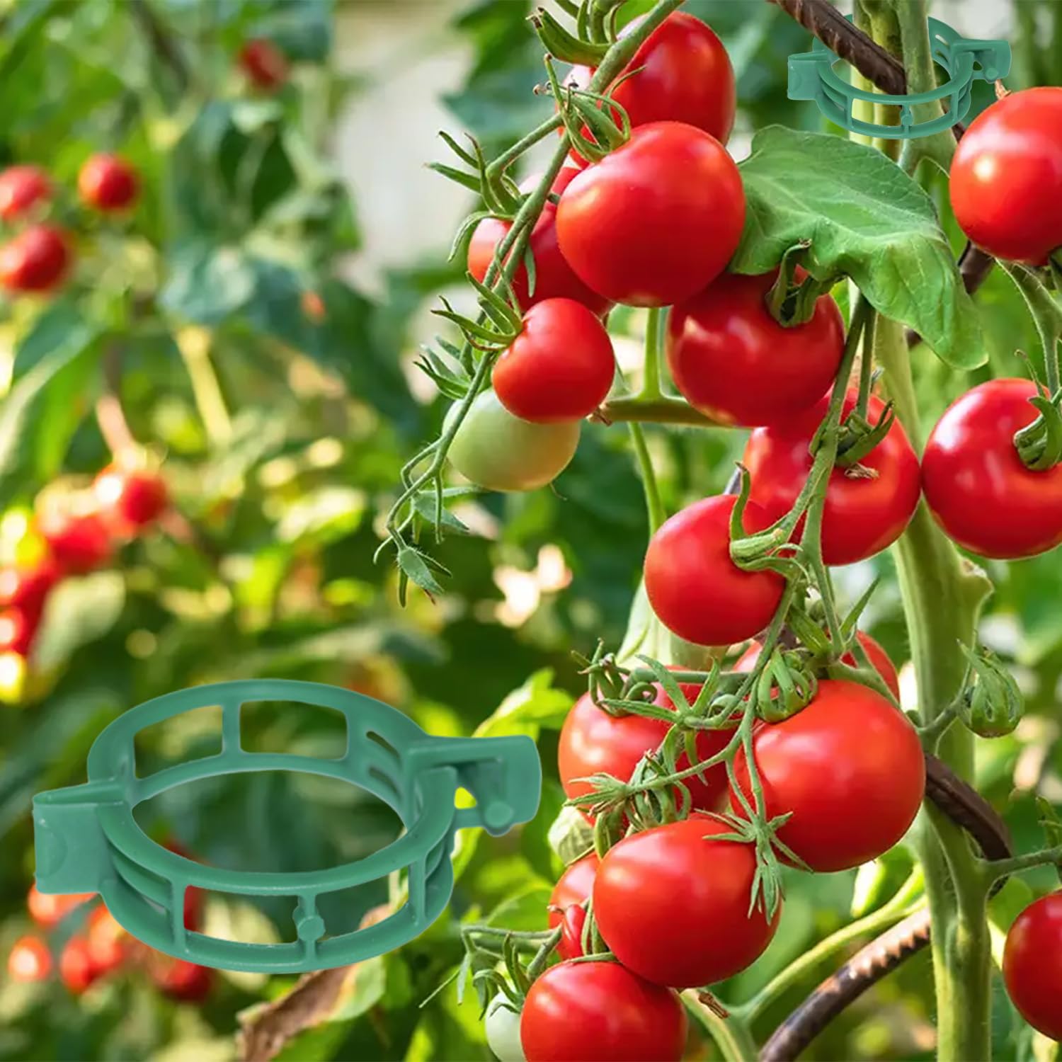 Photo 1 of 100 PCS Plant Support Clips, Plastic Plant Clips for Climbing Plants, Reusable Garden Support Clips, Plant Wall Fixing Clips for Tomato, Vine, Orchid and Indoor Plants (Green)