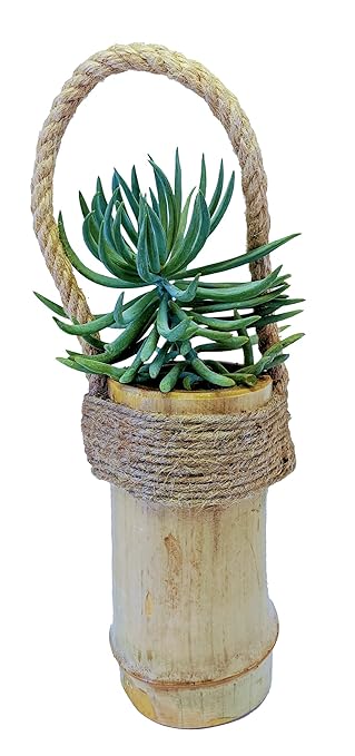 EDENZSTUDIO Jute Rope Hanging Bamboo Plannter for Succulent/Money Plant (Pothos) Pack of 3