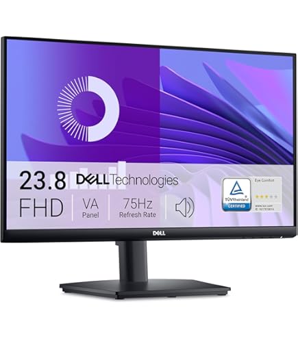 Amazon.com: Dell E2425HS 24
