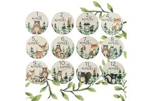 MELIATOMIA 12 Packs Wooden Baby Monthly Milestone Cards, Baby Monthly Milestones for Newborn Baby Gifts,1-12 Months Wooden Discs with Baby Announcement Sign, Pregnancy Baby Shower Gifts for Christmas New Year