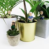 Gift Republic Attenborough Explorers Plant Markers Green 9.5x14.5x3.5 cm view 5