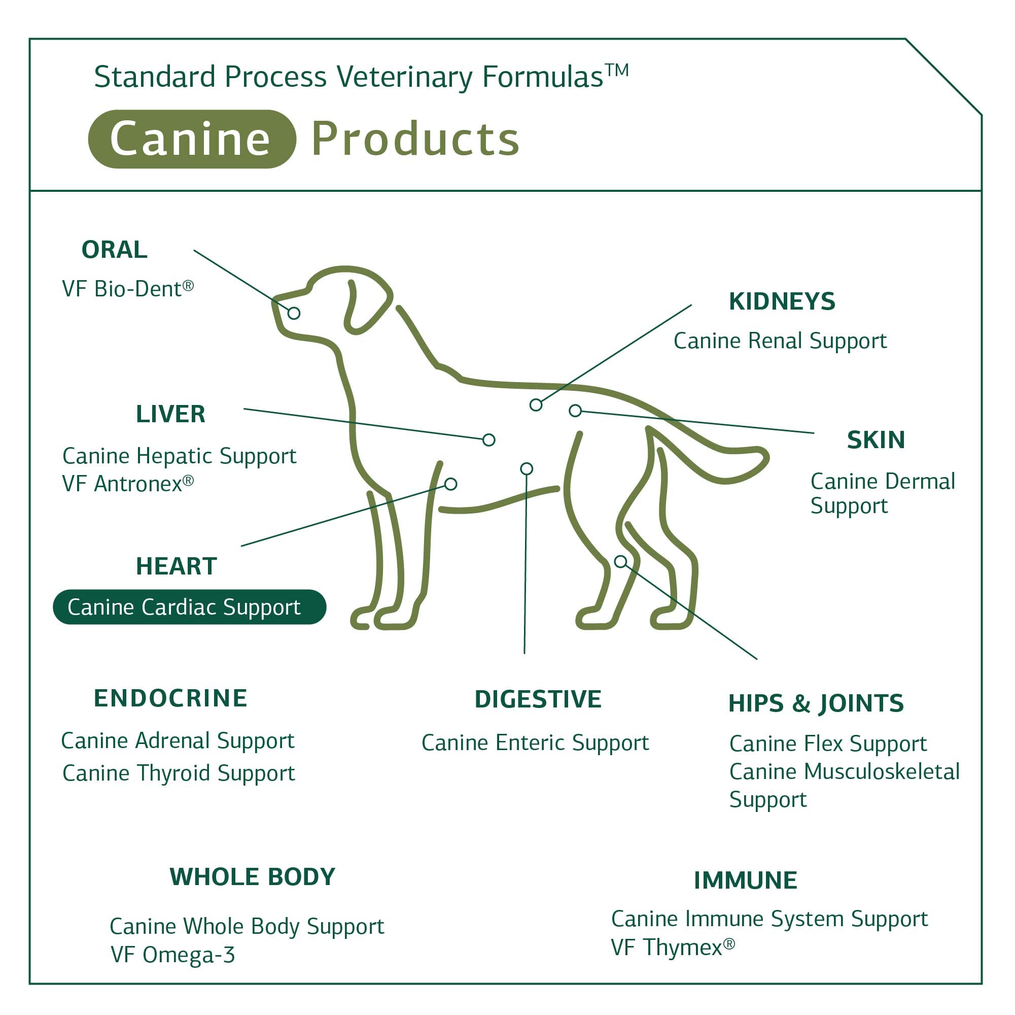 Mua Standard Process - Canine Cardiac Support - Heart Supplement for ...