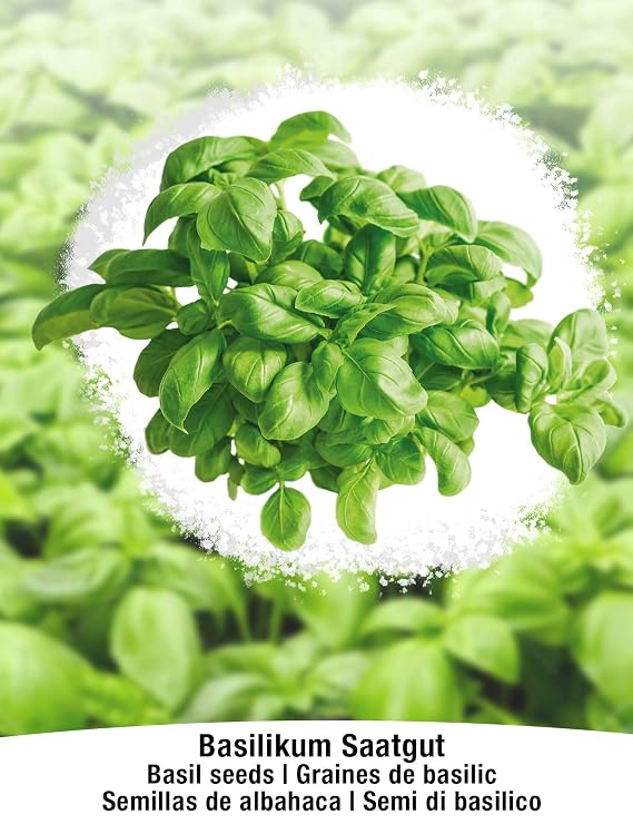BIO/ORGANICO Albahaca & Perejil - Semillas ecológicas de plantas ...