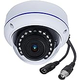 5MP 4MP 180 Degree Wide Angle Dome Security Camera HD-TVI/CVI/AHD/960H Analog 4 in 1 Super Hybrid HD CCTV Surveillance 1.7mm
