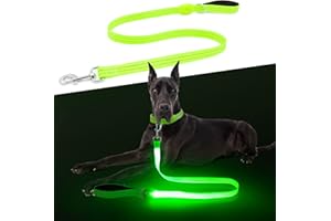 CHALKLIT LED Dog Leash, Light Up Dog Leash 4 Ft Fully Illuminated USB Rechargeable Waterproof, Nylon Reflective Leashes with Padded Handle for Dogs Night Walking, Safety Glow in The Dark for Large Medium Pets