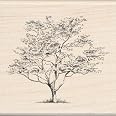 Inkadinkado Leaf Wood Stamps For Arts And Crafts, 2pc, 2.75'' L X 1'' W And 1.25'' L X 2.75'' W