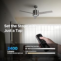 VAGIZM Ceiling Fan 52'' with Light: Modern Remote