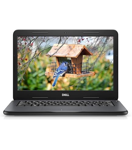 Amazon.com: Dell Latitude 3300 Laptop 13.3 - Intel Core i3