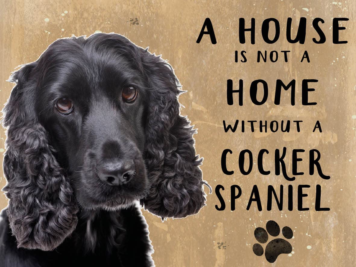 Small (150 x 200mm) Metal Sign - A House is Not a Home - Cocker Spaniel, Black