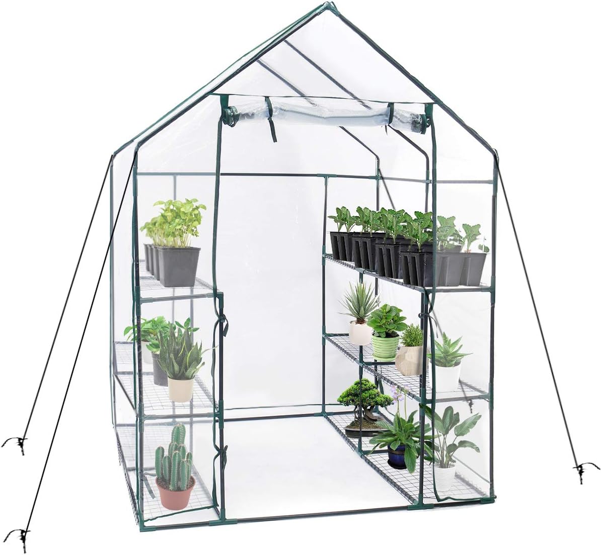 TOOCA Mini Greenhouse 12 Sturdy Shelves 56'' X 56'' X 77'' Portable Walk-in Plants Greenhouse for Indoor/Outdoor Gardens, Patios, Backyards, with Roll Up Zipper Door