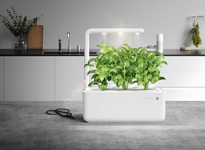 Emsa Click & Grow Smart Garden 3 unidades M52617, Semillas Smart ...