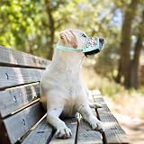 HEELE Dog Muzzle Soft Nylon Breathable Adjustable Loop Velcro Cyan Flower XS view 7