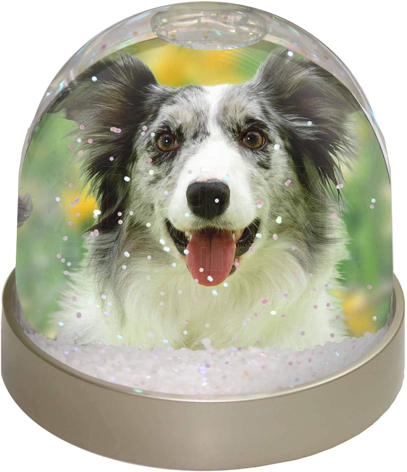 Advanta Group Blue Merle Border Collie Snow Dome Globe Waterball Gift