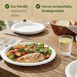Signature Packaging 9 inch Round Paper Plates Bagasse Biodegradable 50 view 5