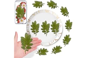 HQT 42PCS Dried Rose Leaves with Stem for Resin Crafts, Natural Real Pressed Rose Leaves for Resin DIY Jewellery Ornament DIY Crafts Candle Making Phone Case Home Decor