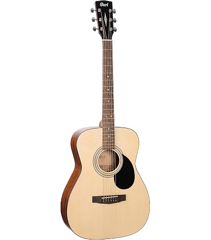 Amazon.com: Cort Earth Series Dreadnought Acoustic Guitar Starter