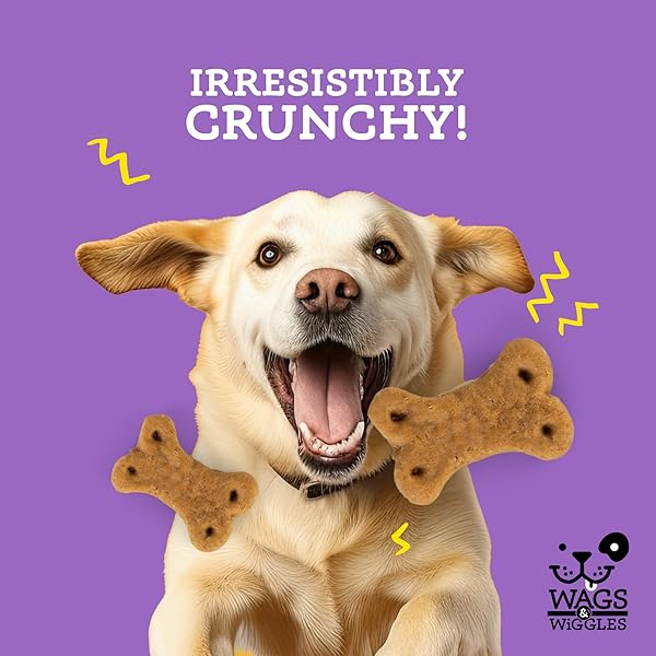 WAGS & WIGGLES SIMMER DOWN CALMING TREATS FOR DOGS, CHICKEN FLAVOR, 5.5 OZ RESEALABLE BAG | HELPS MAINTAIN RELAXATION | FUNCTIONAL TREATS FOR DOGS WITH LAVENDER AND CHAMOMILE