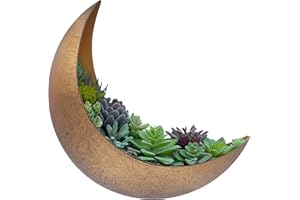 AERLO Wall Mounted Metal Moon Planter - Hanging Crescent Pot for Succulents, Air Plant, Cactus - Boho Indoor Outdoor Moon Wall Decor - Witchy Plant Gifts - Rustic Gold