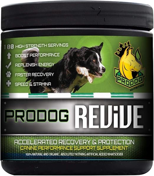 lab boxer puppies for sale