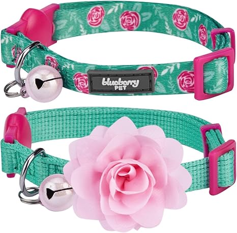 Blueberry cat collar Outlet