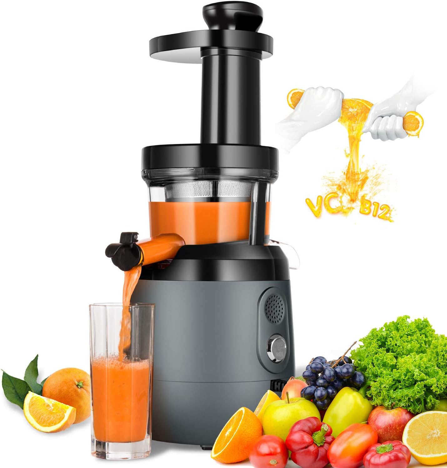 Slow Masticating Juicer Extractor, HAYKE Juicer with Quiet Motor and Reverse Function, Easy to Clean Cold Press Vertical Juicer Machine for High Nutrient Fruits and Vagetables