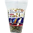 Birds LOVE All Natural Garden Blend Bird Food for Parrots 6lb