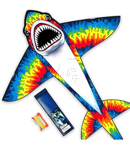 Amazon.com: WindNSun SkyGiant Dragon Ripstop Nylon Dragon