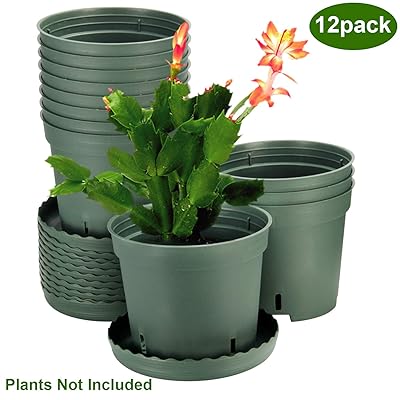 Plastic Pots for Plants, ZOUTOG 6 inch Plastic Planters with Drainage Hole, Pack of 12 - Plants not Included