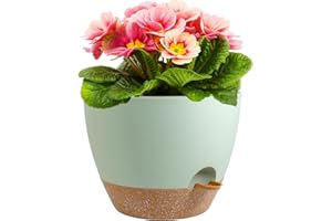 Meowell 12 inch Large Self Watering Pots, Plant Pots with Mesh Drainage Holes for Indoor Outdoor Plants, Plastic Planters with Deep Reservoir for Garden House Flower Plants, Green with Brown