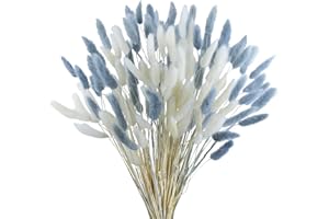 CISDUEO 120pcs Dried Bunny Tails Flowers Lagurus Ovatus Tail Dried Flowers Pampas Grass White and Gray Natural Dried Floral Arrangement for Boho Decor Home Wedding DIY Farmhouse Table Christmas (17")