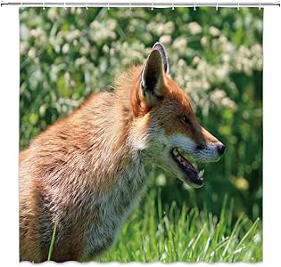 EdCott Cortina Ducha Zorro Pastizales Fox Lobo Cortina Ducha baño Zorro