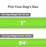 Taglory Dog Lead 2 cm Wide 1.8 m Neon Green Reflective Padded Handle view 4