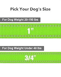 Taglory Dog Leash for Small Dogs, Double-Sided
