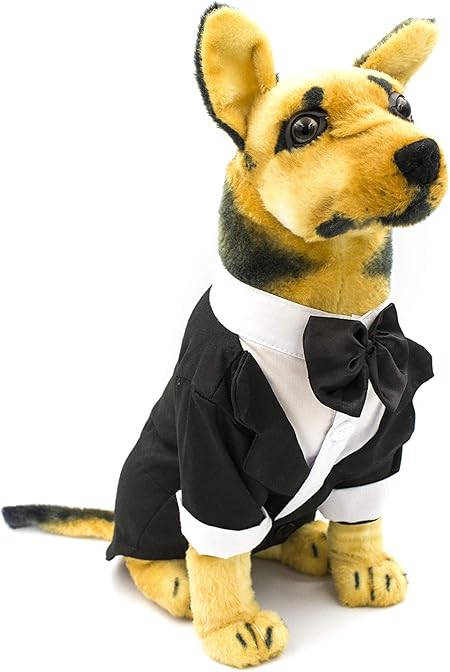 dog wedding attire ring bearer