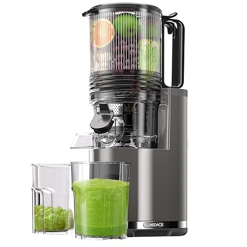 Floisdace J8 Cold Press Juicer, 6.5" Extra Wide Feed Chute Juicer Machines, 350W Slow Juicer Machines with High Juice Yield for Whole Vegetables & Fruits, BPA Free (Titanium Gray)